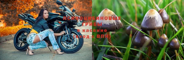 герыч Алексеевка
