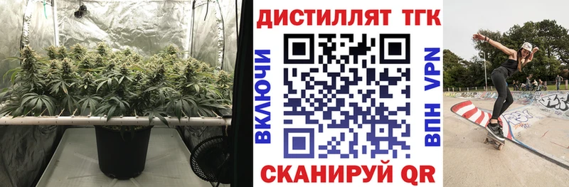 ТГК жижа  наркота  гидра как войти  darknet как зайти  Сухой Лог 