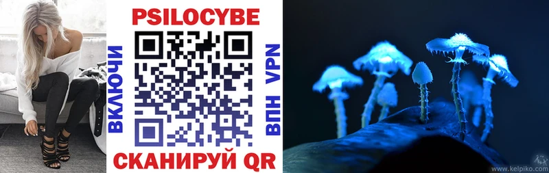 Псилоцибиновые грибы Psilocybine cubensis Сухой Лог