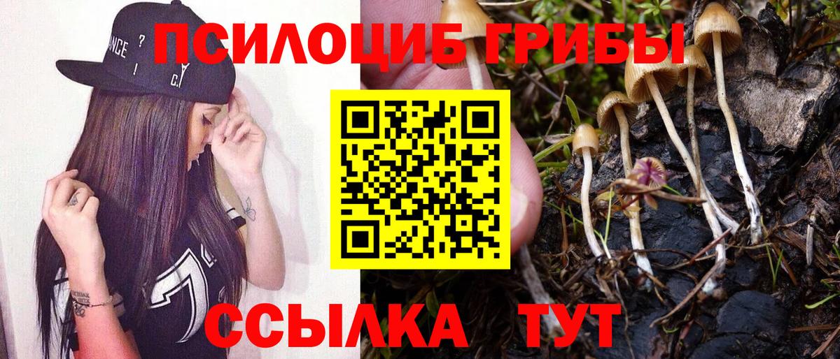 Галлюциногенные грибы MAGIC MUSHROOMS Сухой Лог