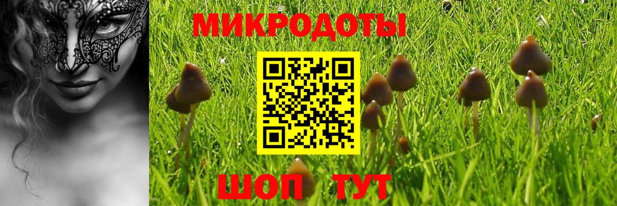 Галлюциногенные грибы Psilocybine cubensis  где купить   Сухой Лог  Вход с VPN 